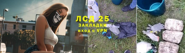крисы Алзамай