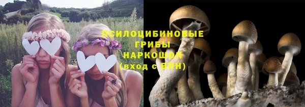 прущий лед Алексин