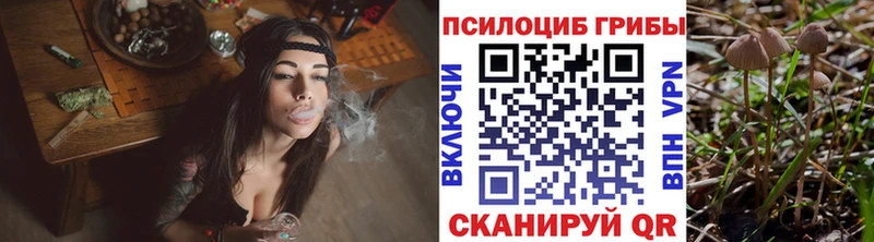 Галлюциногенные грибы Psilocybine cubensis  Сенгилей 
